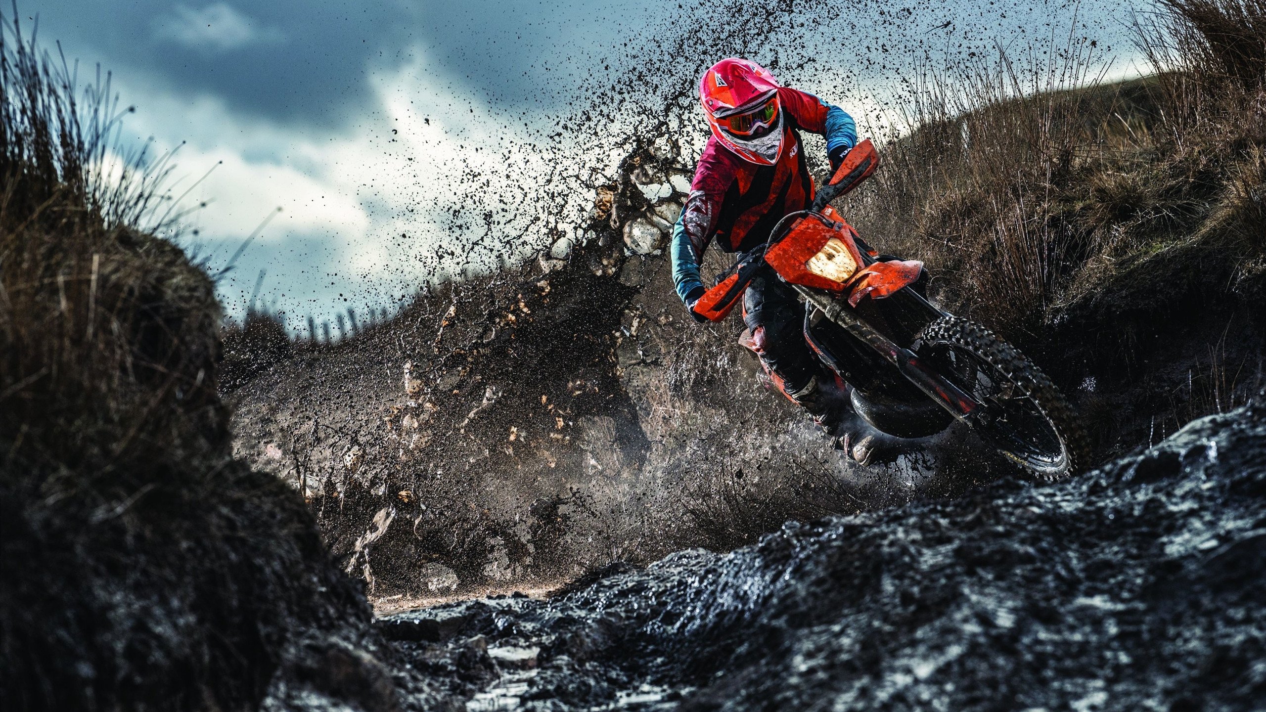 世界杯预选赛中国队逆袭 球员拼搏精神获赞，世界杯预选赛中国队分析